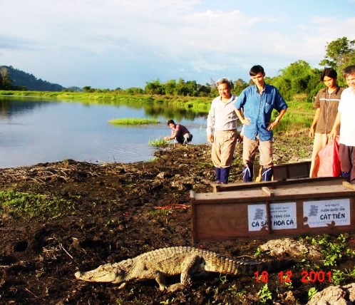 ca-sau-hoa-ca-bao-ton-ca-sau